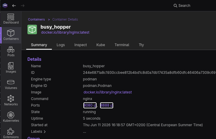 Clickable mapped ports in container summary