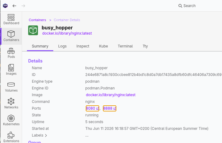 Clickable mapped ports in container summary